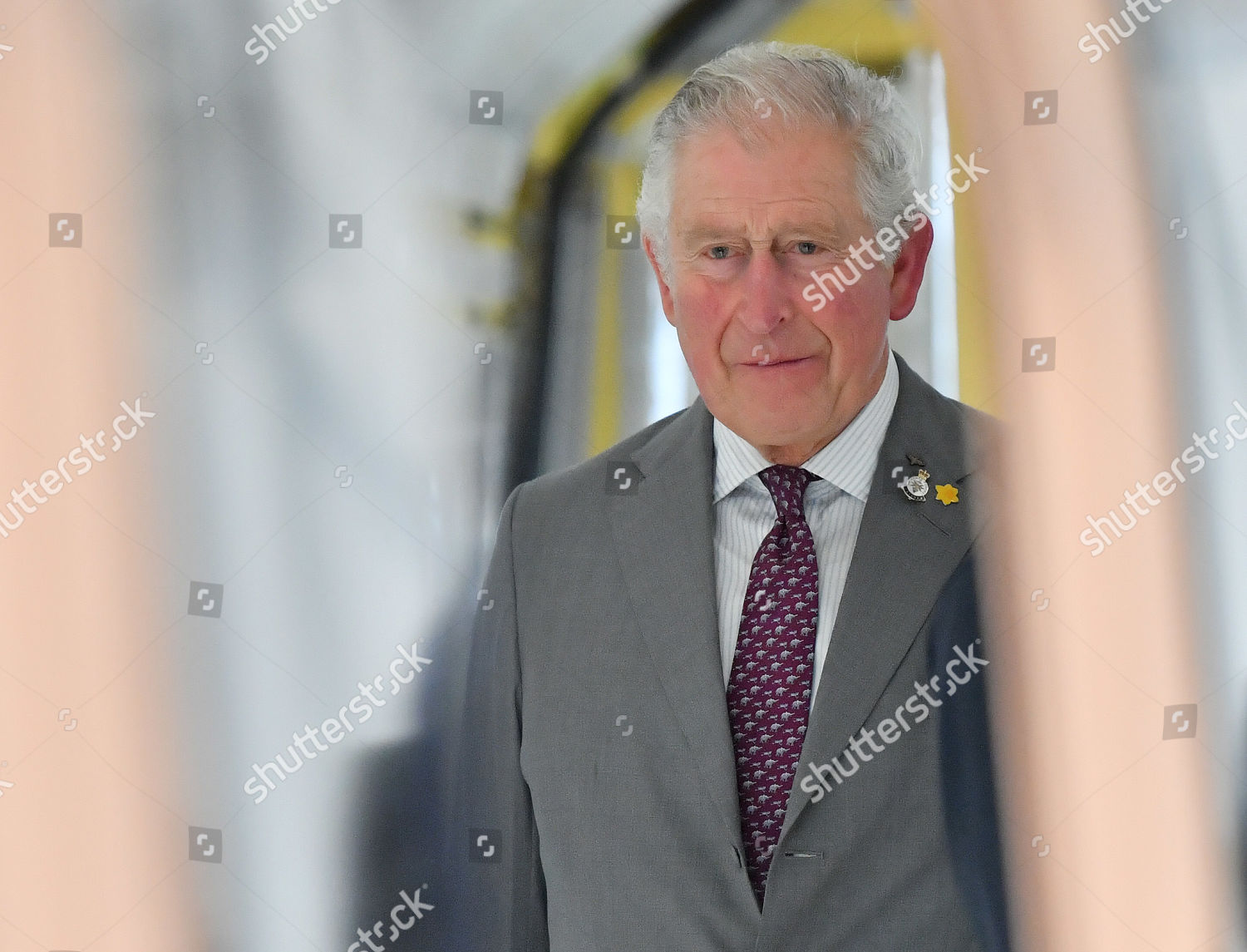 prince-charles-visit-to-south-wales-uk-shutterstock-editorial-10563131b.jpg