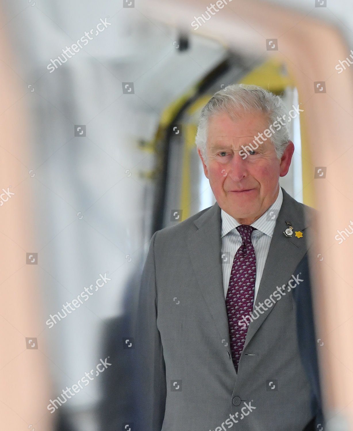 prince-charles-visit-to-south-wales-uk-shutterstock-editorial-10563131o.jpg