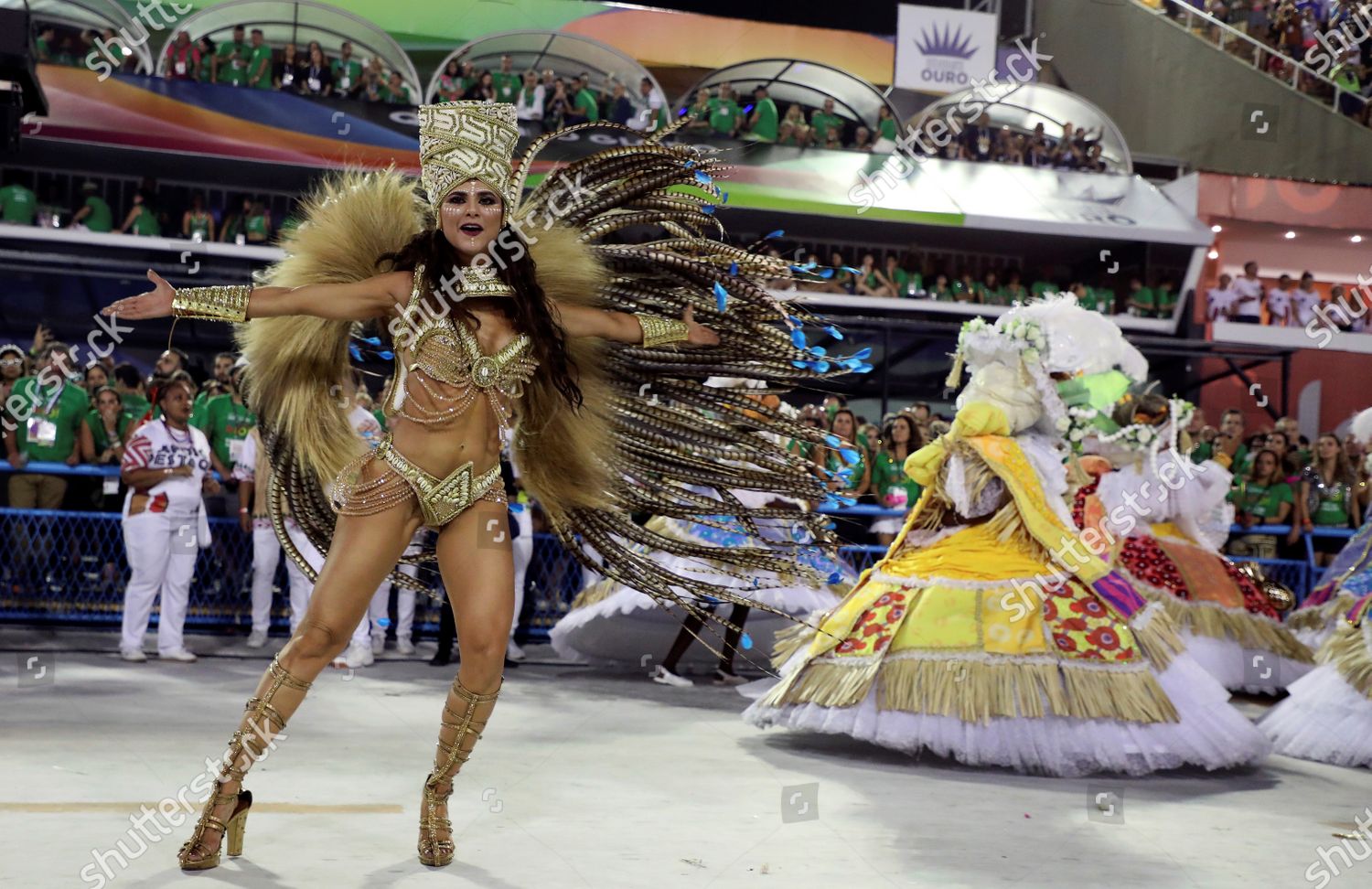 Members Grande Rio Samba School Parade Sambadrome Editorial Stock Photo Stock Image Shutterstock