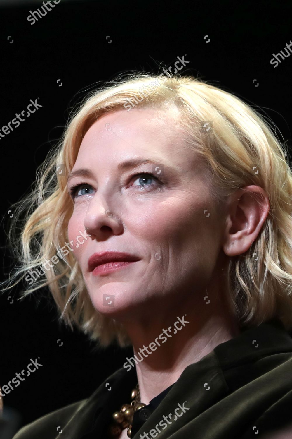 Cate Blanchett Participates Talents Table Talk Editorial Stock Photo ...