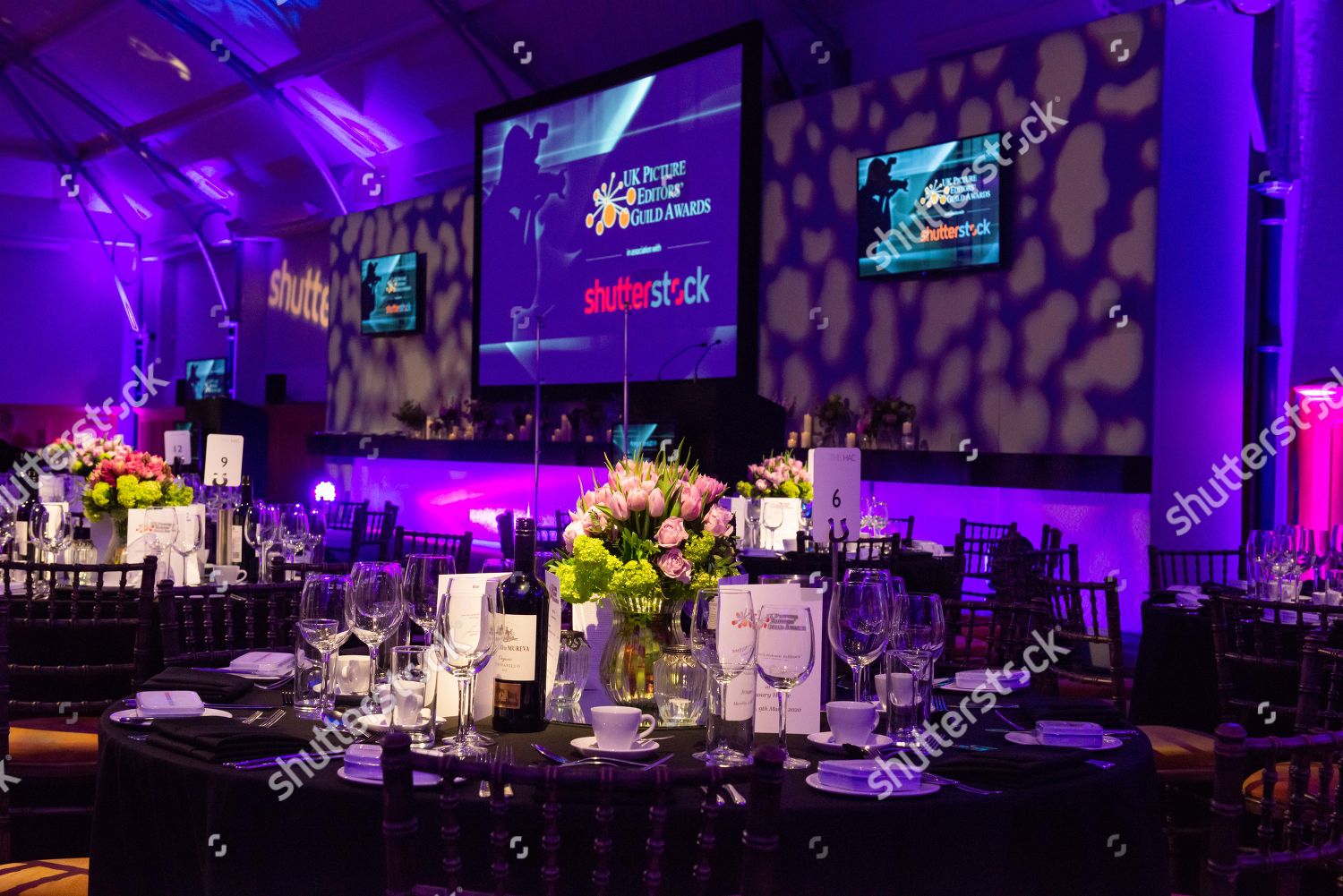 Picture Editors Guild Awards 2019 Editorial Stock Photo Stock Image