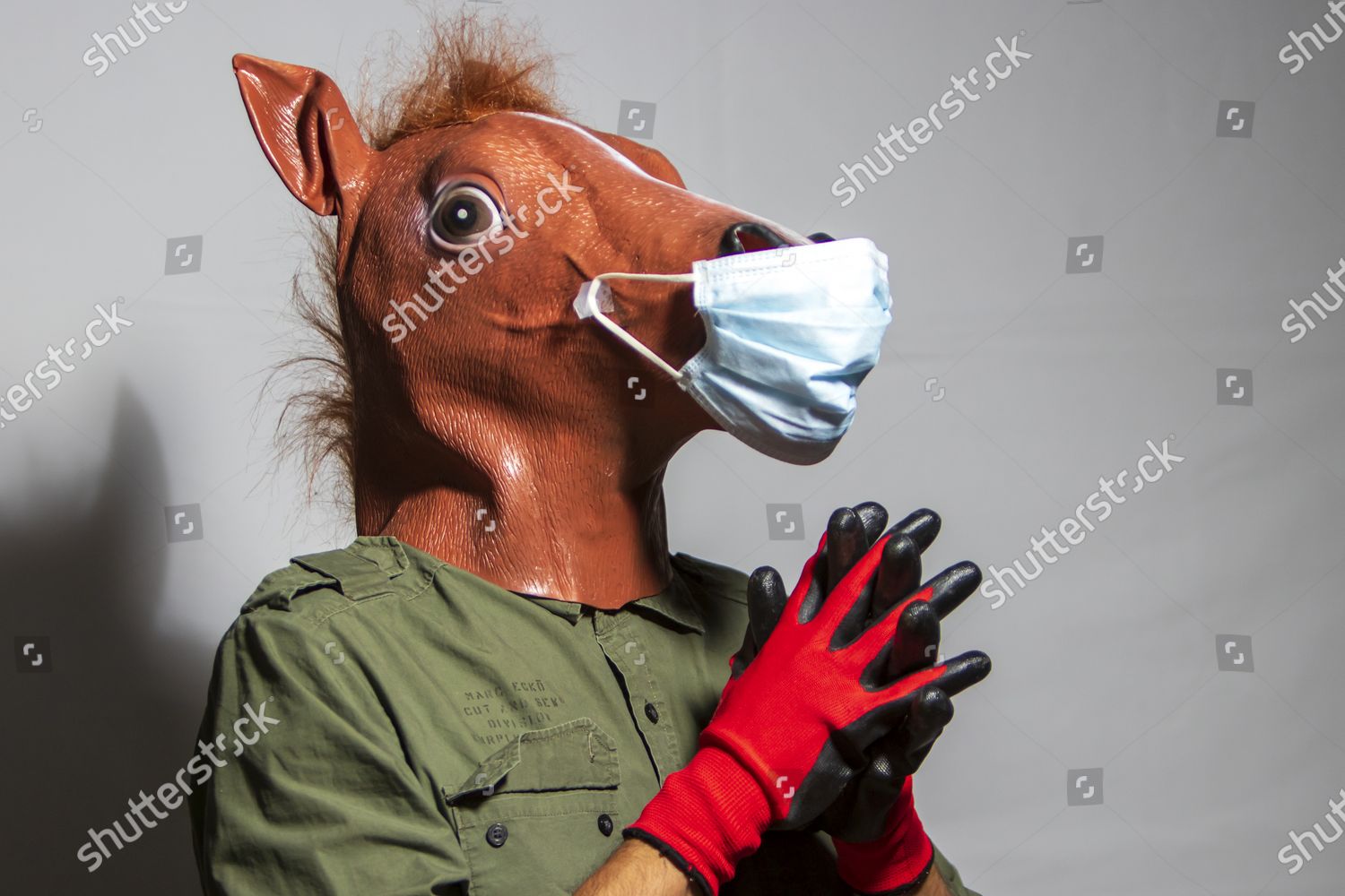 horse face mask covid