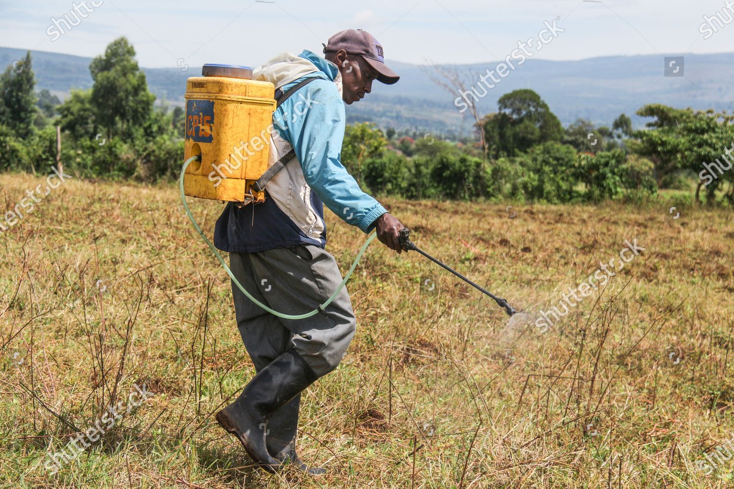 Man Spraying Herbicides Farm Without Recommended Protective Editorial Stock Photo Stock Image Shutterstock