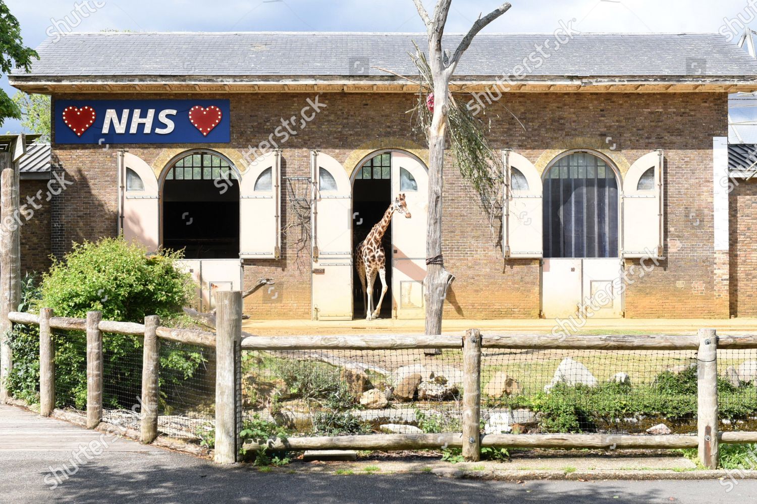 Sign Support Nhs On Giraffe Enclosure Editorial Stock Photo Stock