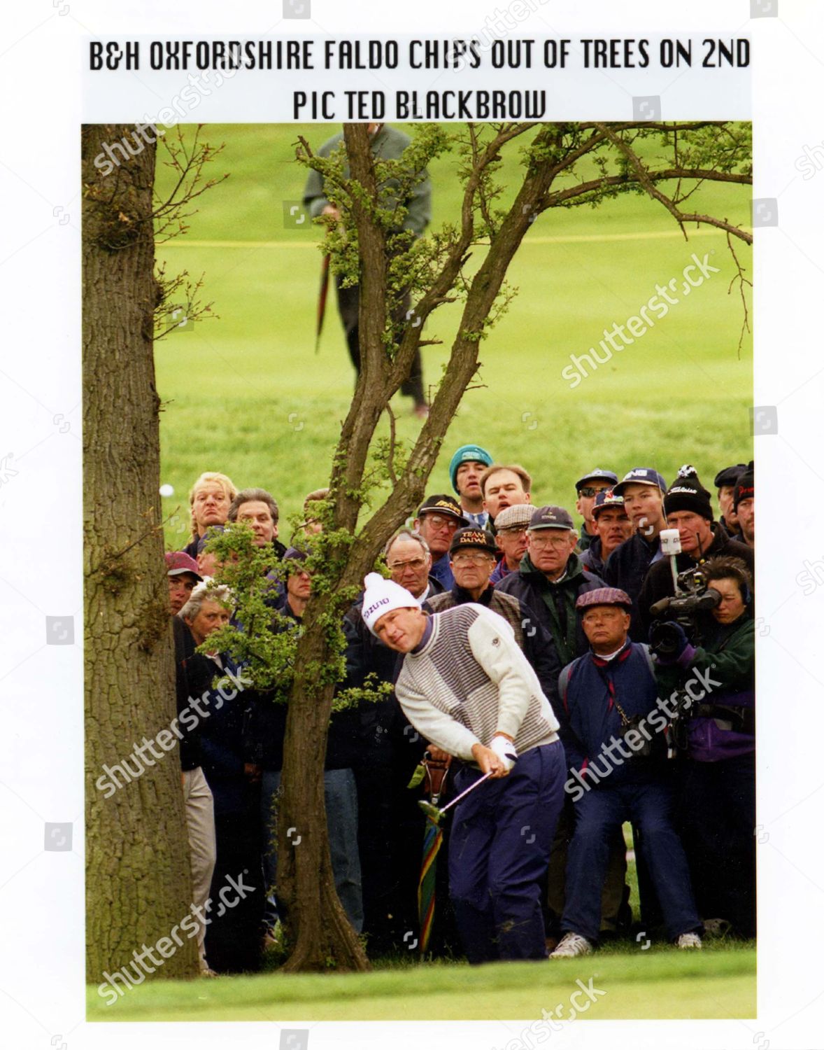 Nick Faldo Golfer 1996 Trees Company Editorial Stock Photo - Stock ...