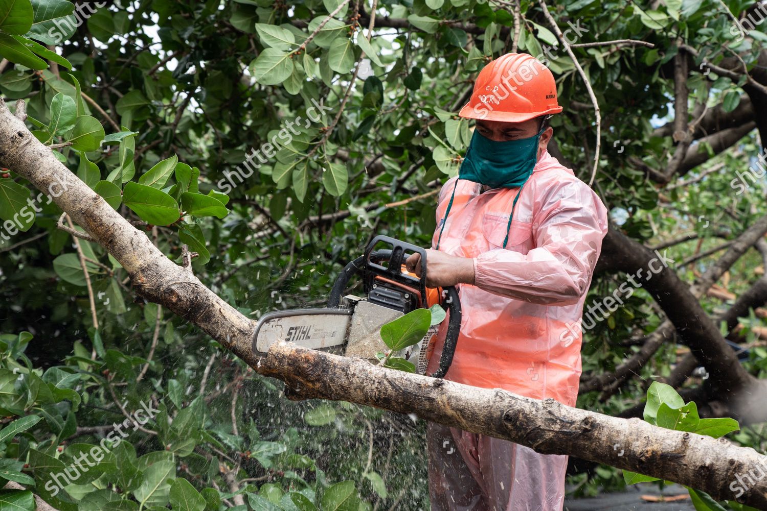 Relief Force Cutting Trees Clear Road Editorial Stock Photo - Stock ...