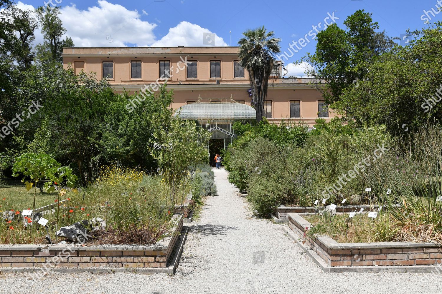 Monumental Greenhouse Botanical Garden Rome Reopened Editorial Stock