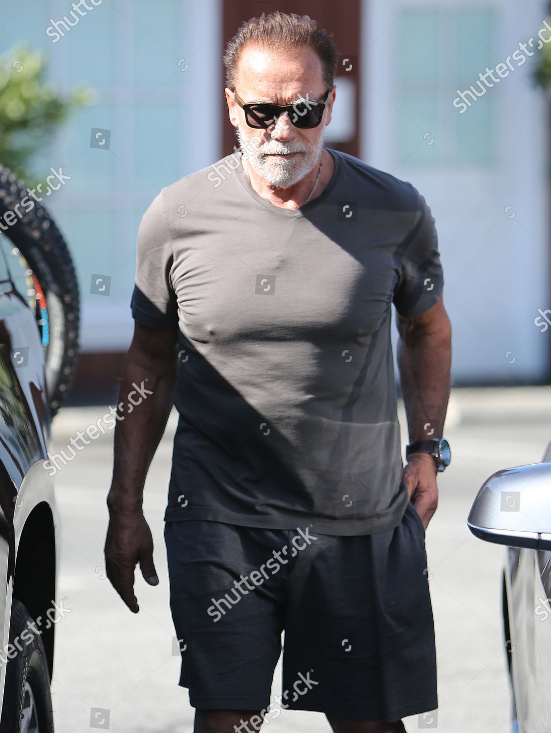 Next photo of Arnold Schwarzenegger