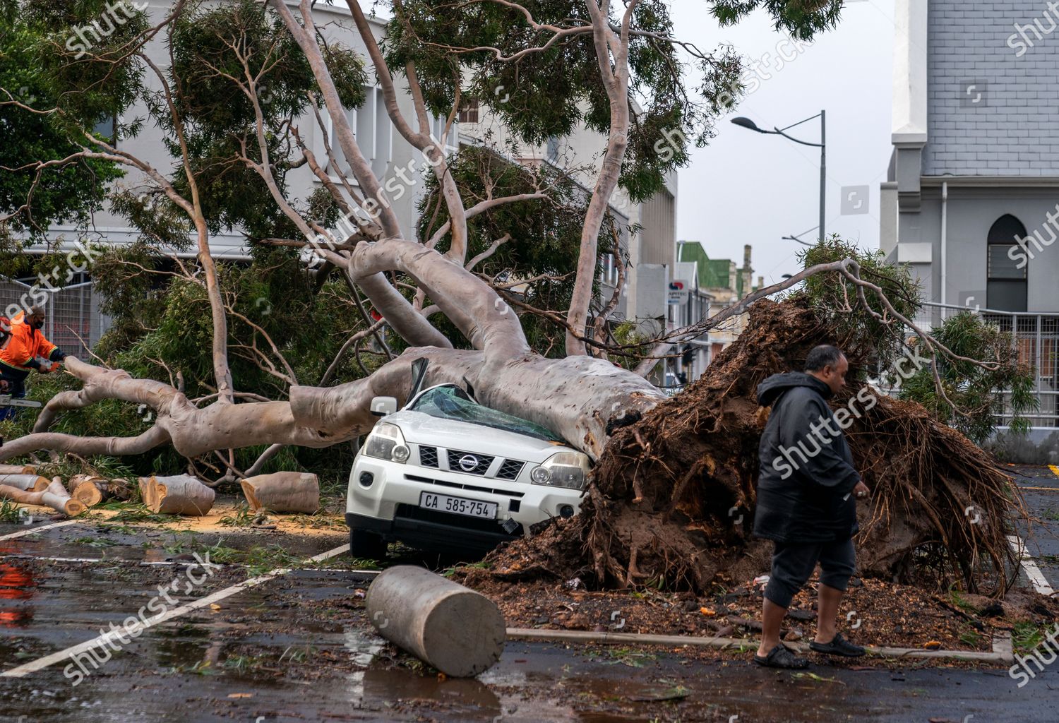 Man Walks Past Vehicle Crushed By Uprooted Editorial Stock Photo Stock Image Shutterstock