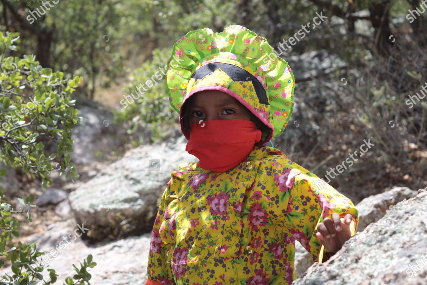 Indigenous Tarahumara Walks Sierra De Chihuahua Mouth Editorial Stock Photo Stock Image Shutterstock