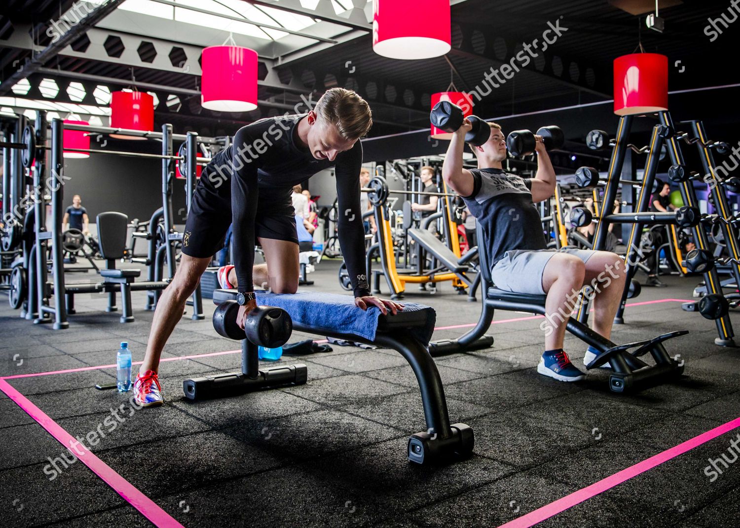 Athletes Back Gym Alkmaar Netherlands 01 Editorial Stock Photo - Stock ...