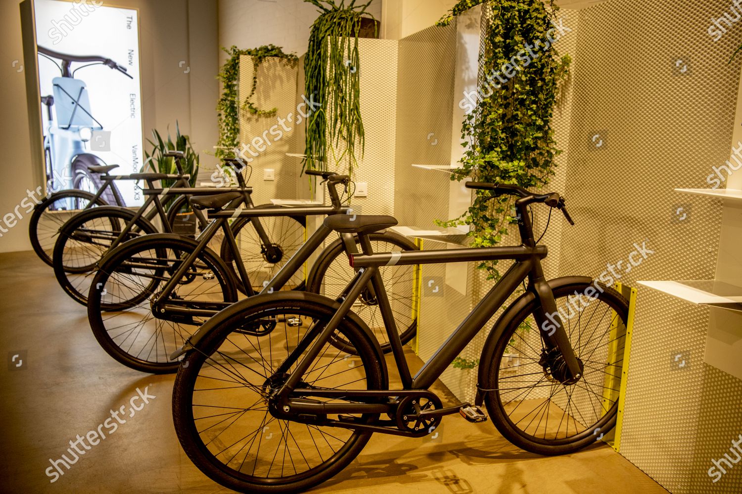 electric bicycle company