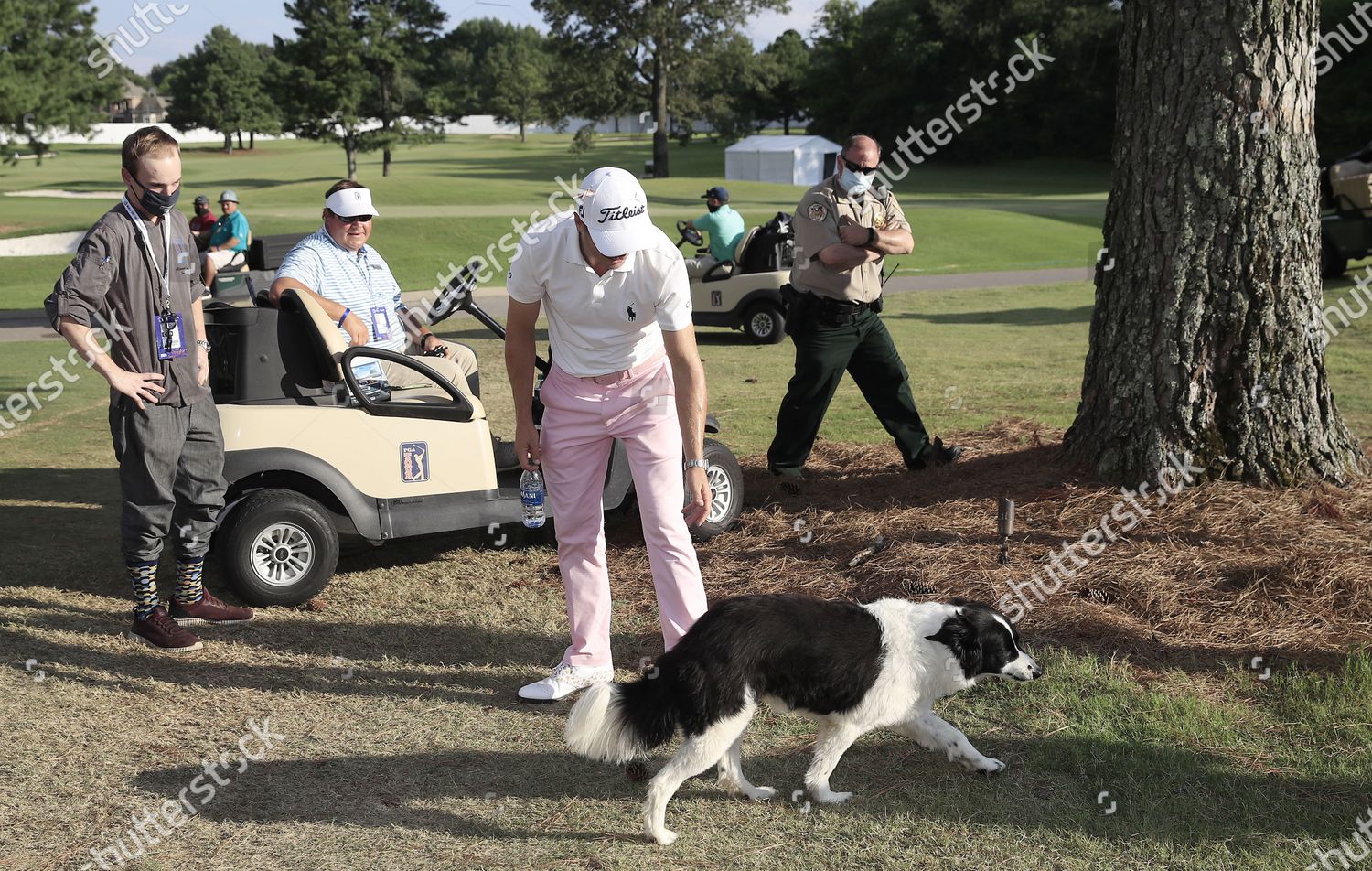 Justin Thomas Us Plays Dog After Winning Editorial Stock Photo Stock Image Shutterstock