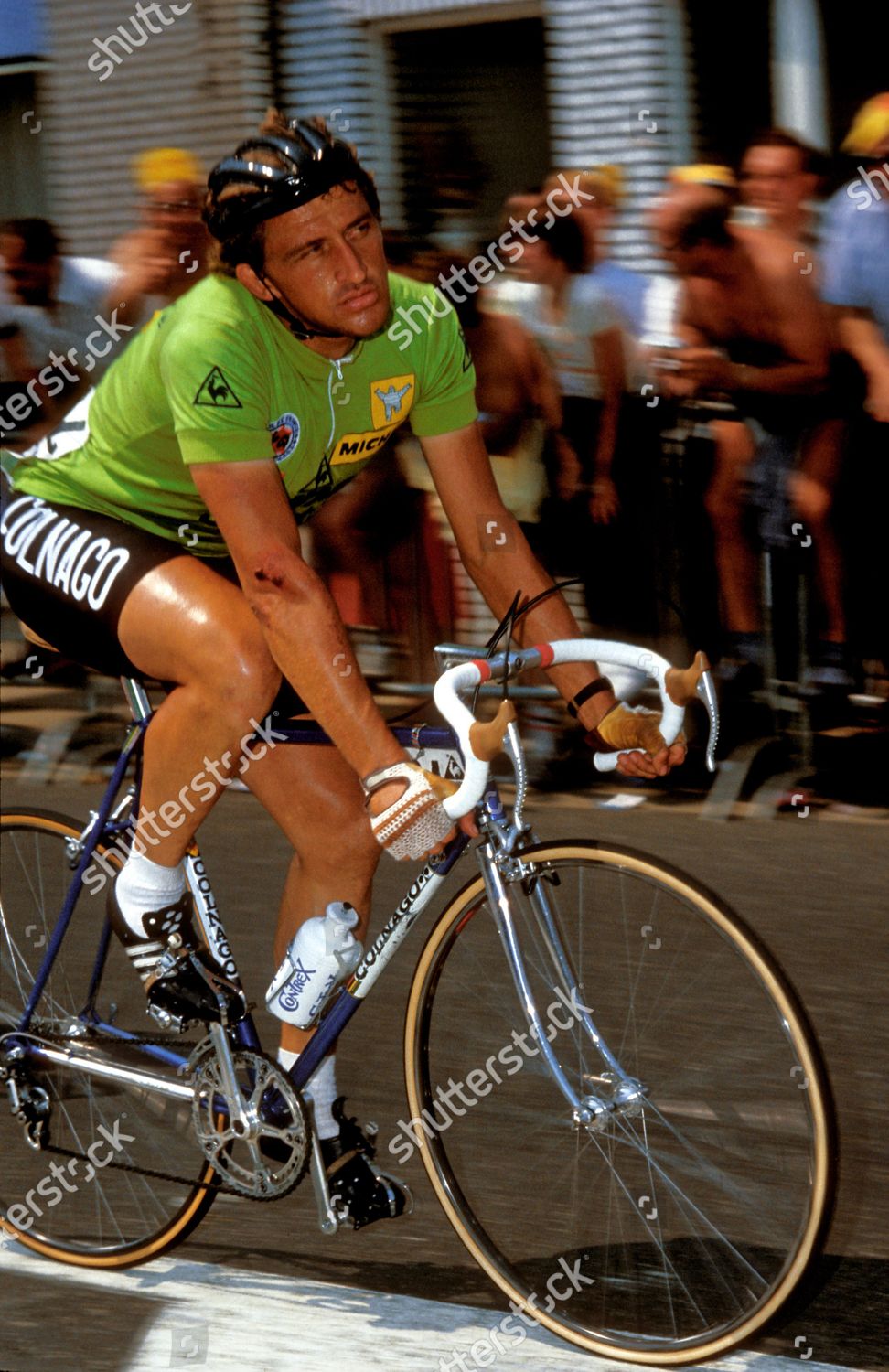 1981 tour de france