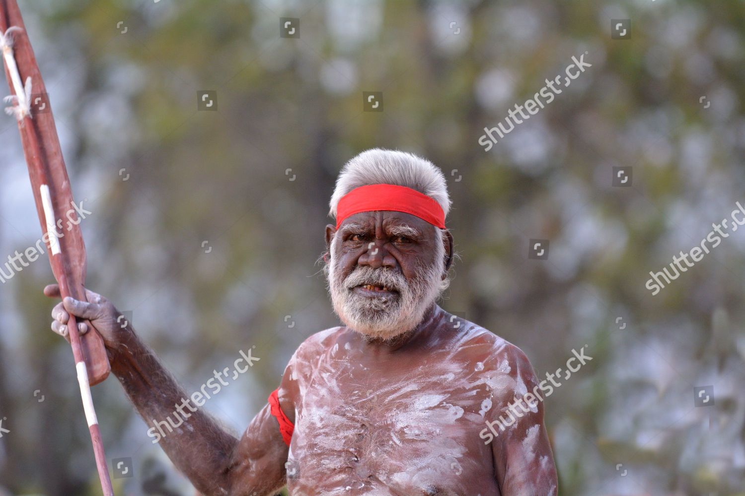 Indigenous Australian aboriginal holding weapones Stock Photo - Stock Image | Shutterstock