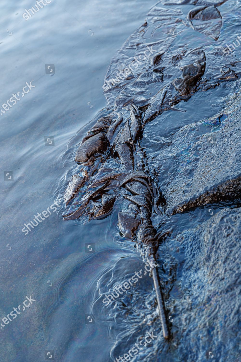 Disastrous Fuel Spill Tanker Which Has Editorial Stock Photo - Stock 