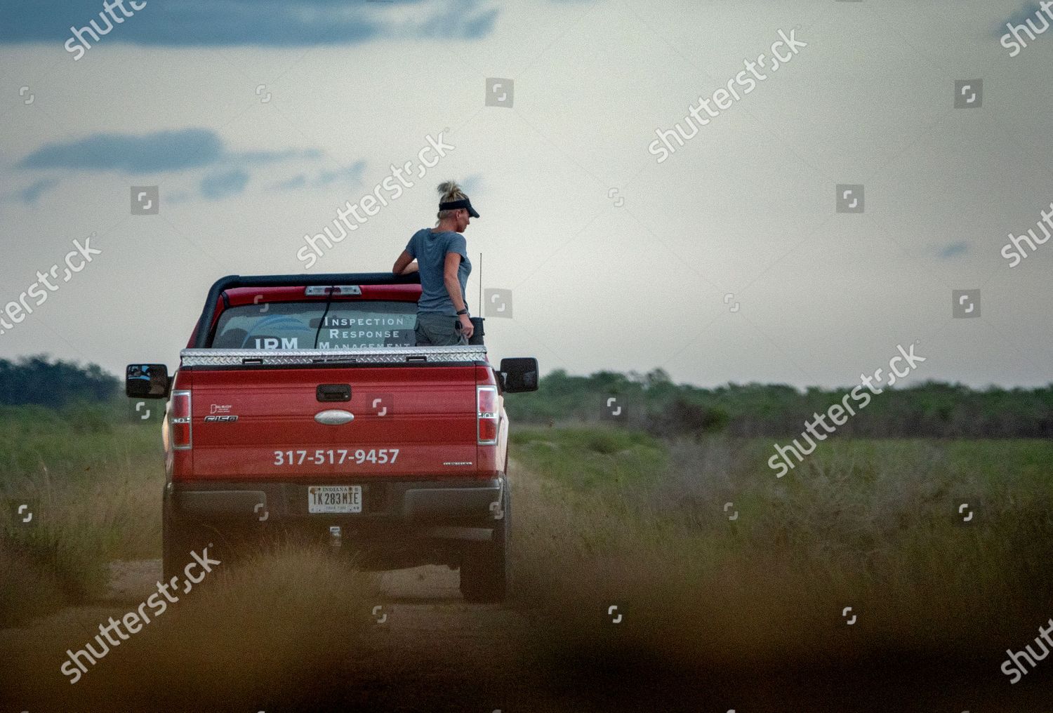 Python Contractor Amy Siewe Searches Pythons Editorial Stock Photo ...