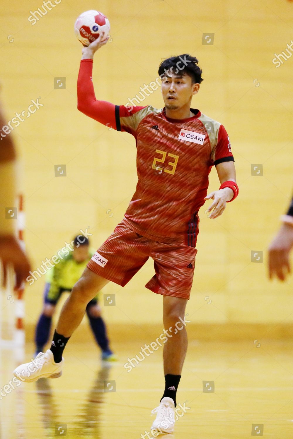 japan handball league