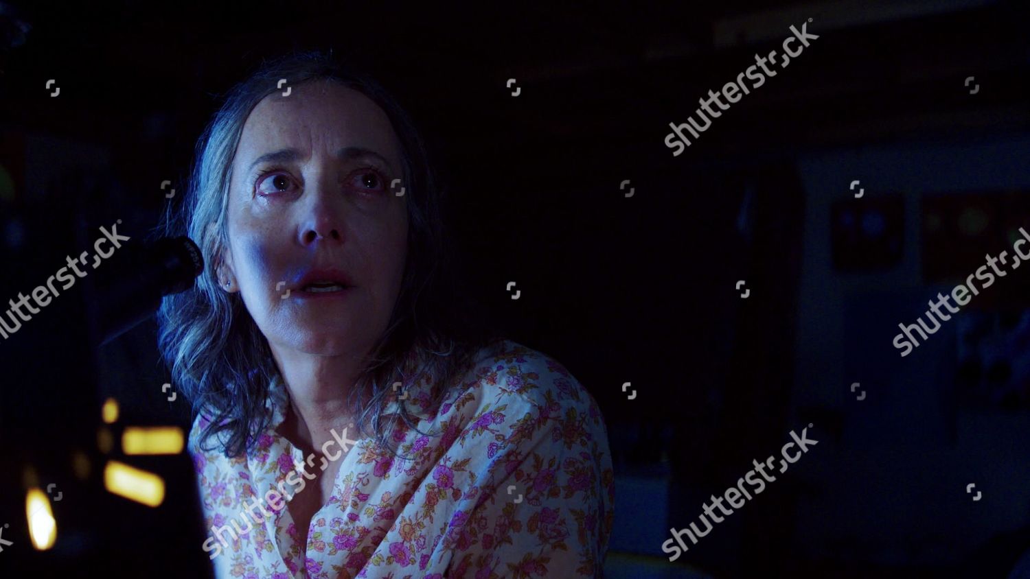 Jane Adams Jane Editorial Stock Photo - Stock Image | Shutterstock