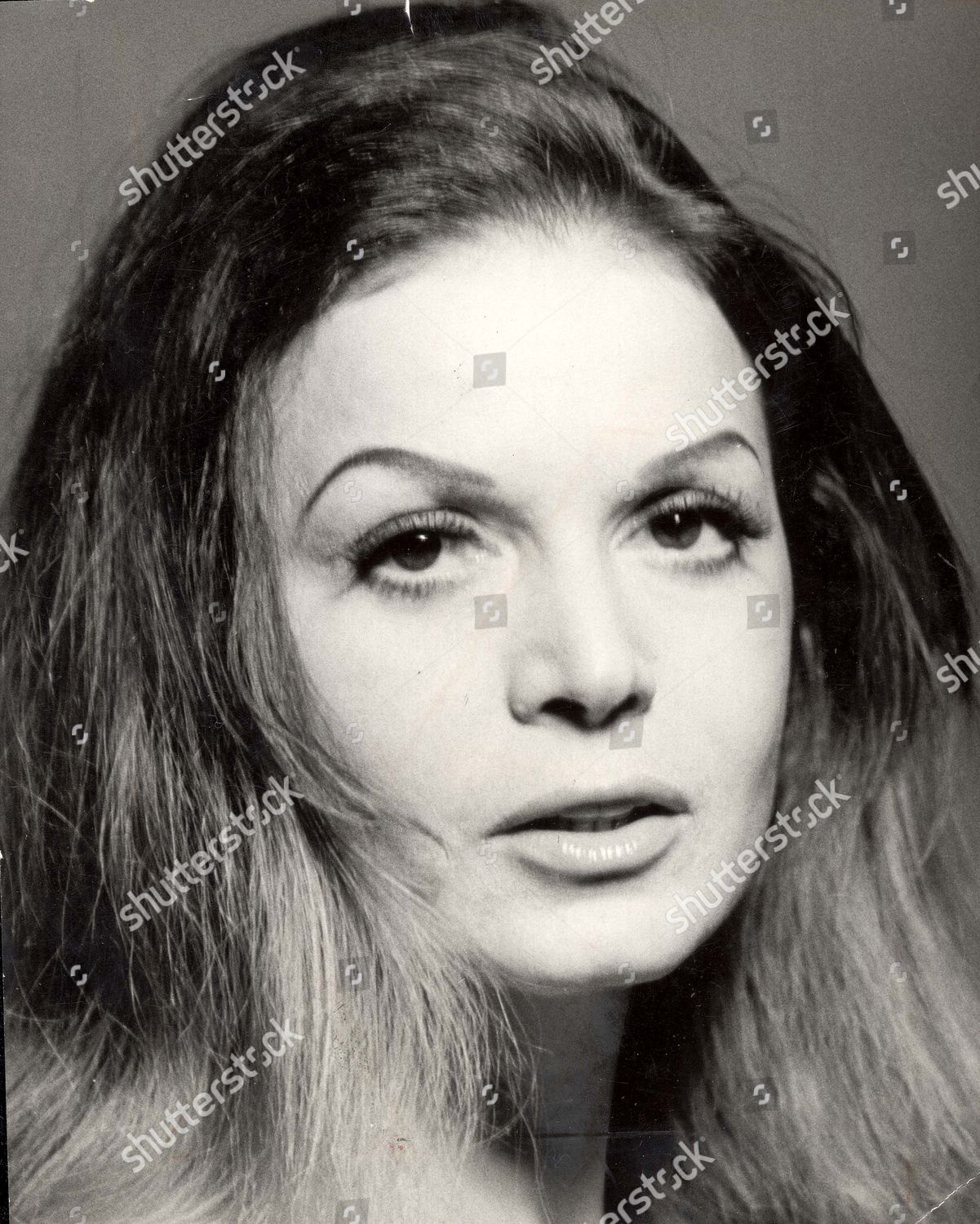 Actress Eva Bartok Editorial Stock Photo - Stock Image | Shutterstock