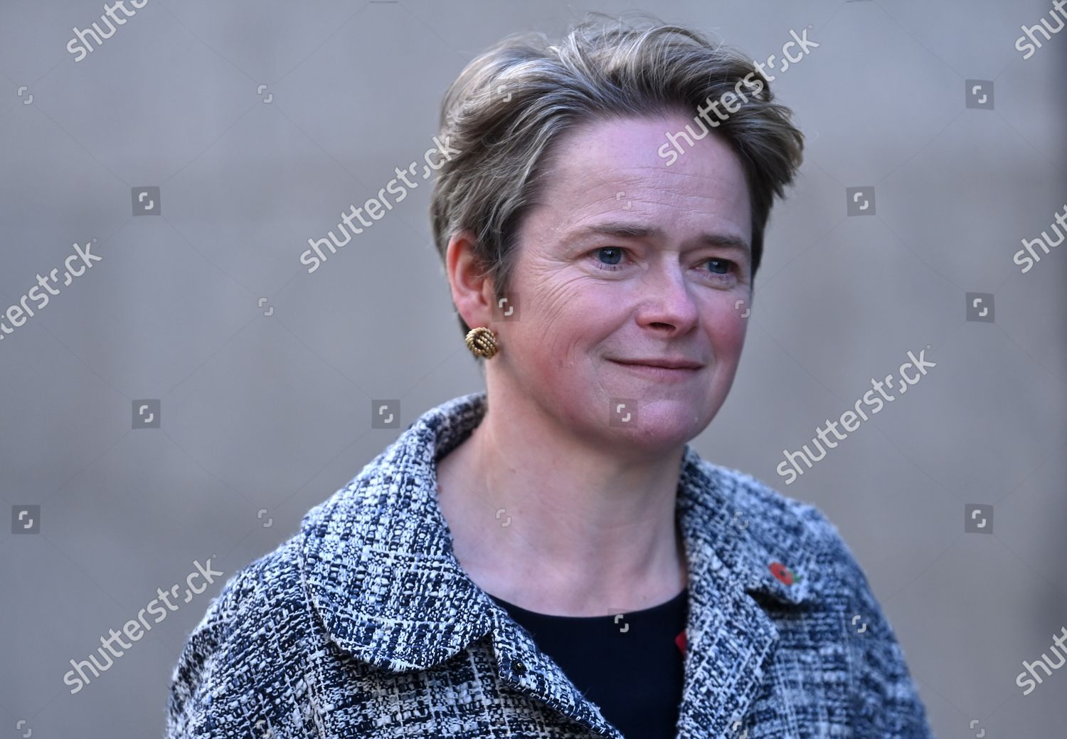 Baroness Diana Dido Harding Head Nhs Test Editorial Stock Photo Stock Image Shutterstock