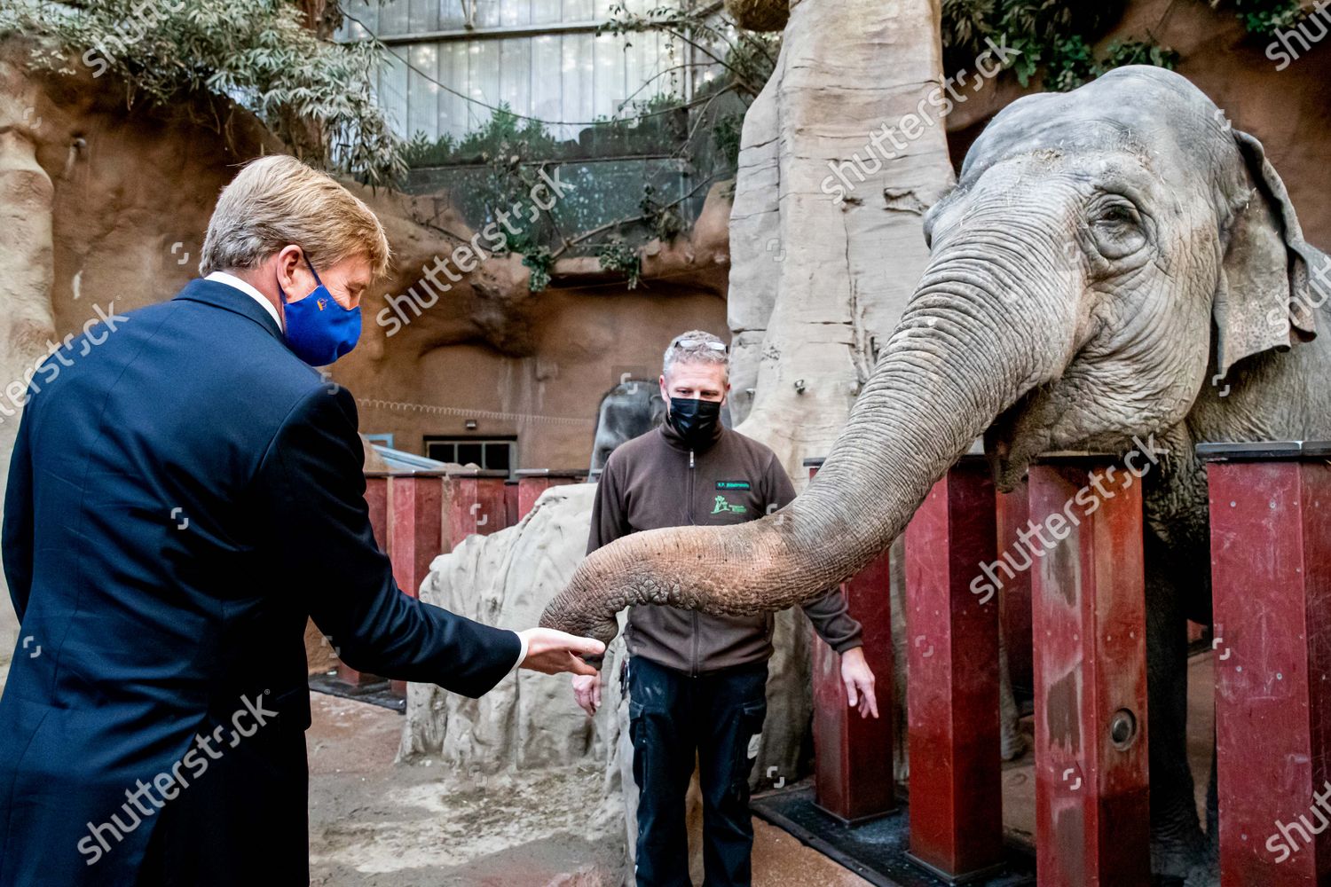 CASA REAL HOLANDESA - Página 77 King-willem-alexander-visit-to-blijdorp-zoo-rotterdam-the-netherlands-shutterstock-editorial-11030387n