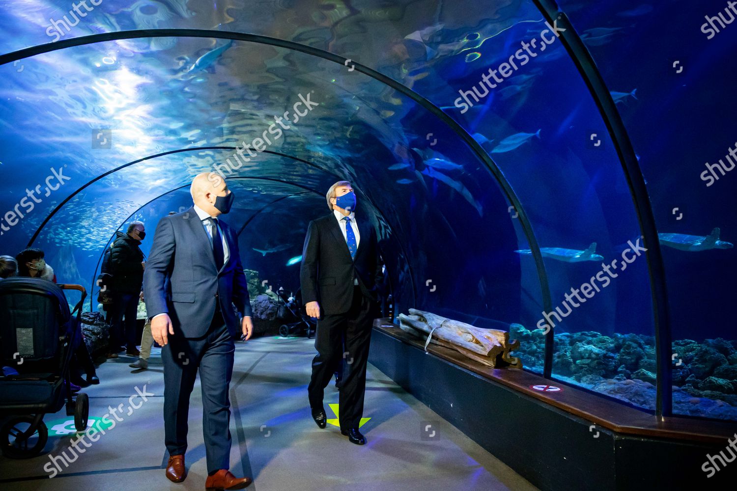 CASA REAL HOLANDESA - Página 78 King-willem-alexander-visit-to-blijdorp-zoo-rotterdam-the-netherlands-shutterstock-editorial-11030387u