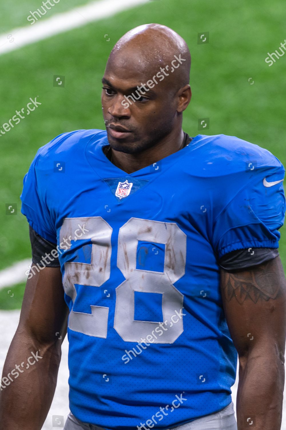 DETROIT, MI - NOVEMBER 26: Detroit Lions RB Adrian Peterson (28