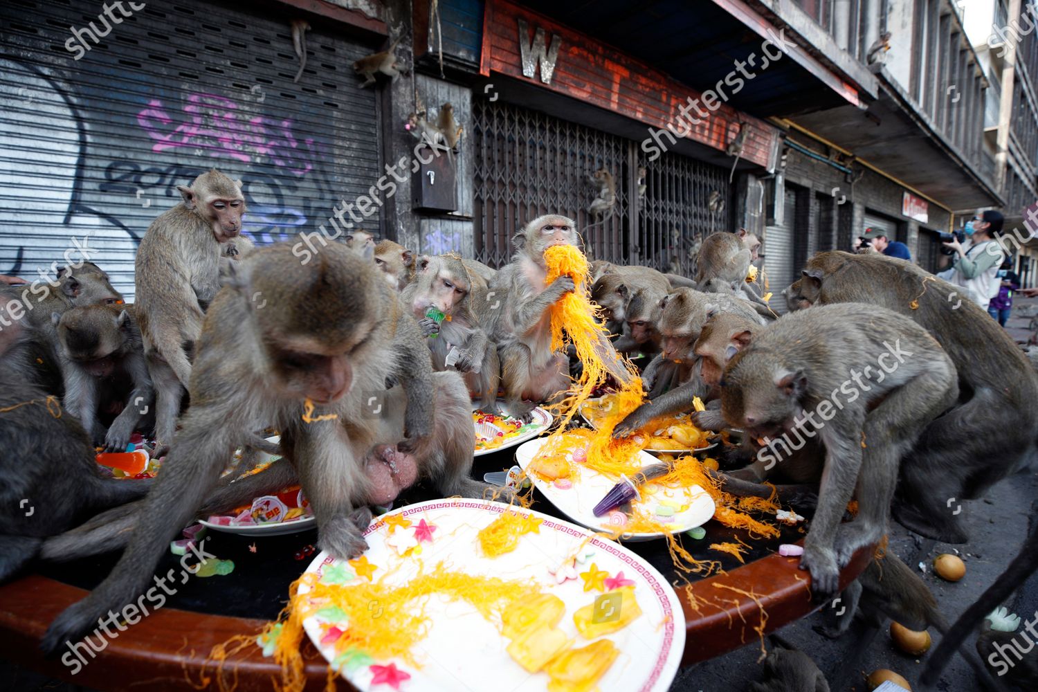 Monkeys Enjoy Various Kinds Fruits Vegetables Editorial Stock Photo ...