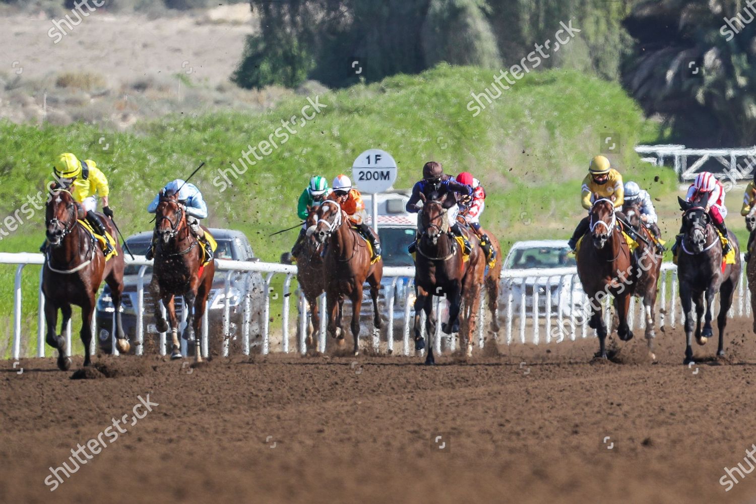 Mouheeb Usa Riden By Tom Marquand Editorial Stock Photo - Stock Image ...