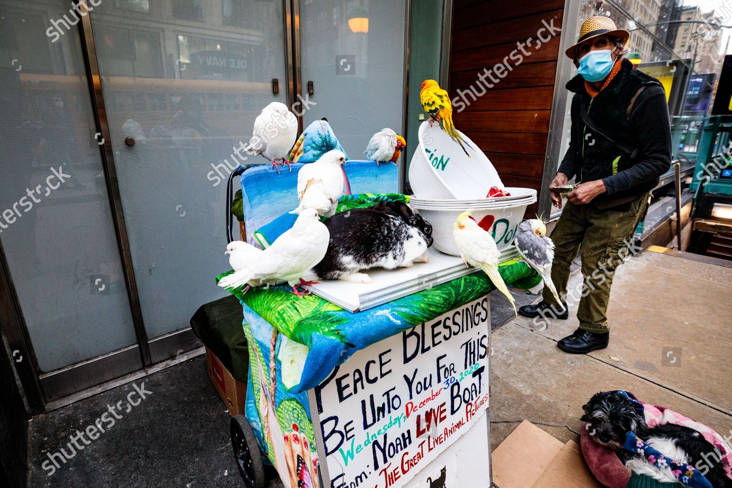 Noah Love Boat His Live Animals Editorial Stock Photo Stock Image Shutterstock