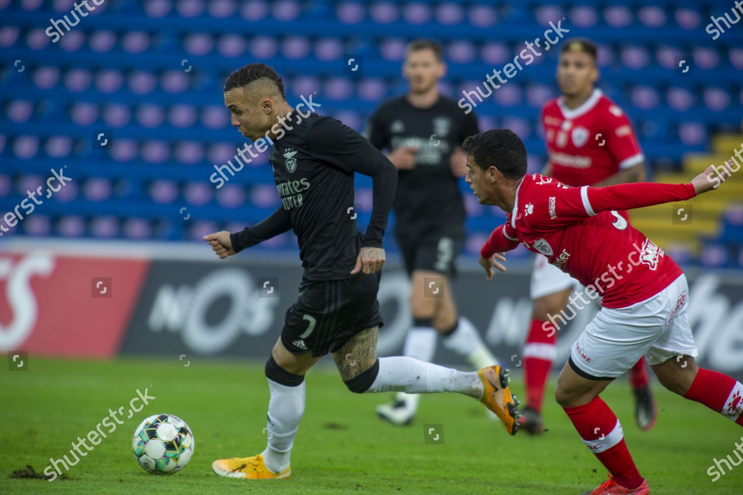 Everton L Benfica Action During Portuguese First Editorial Stock Photo Stock Image Shutterstock