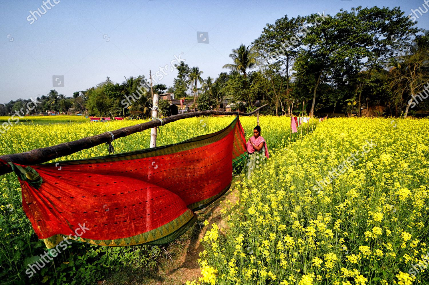 Weavers Seen Polishing Threads Checking Final Editorial Stock Photo
