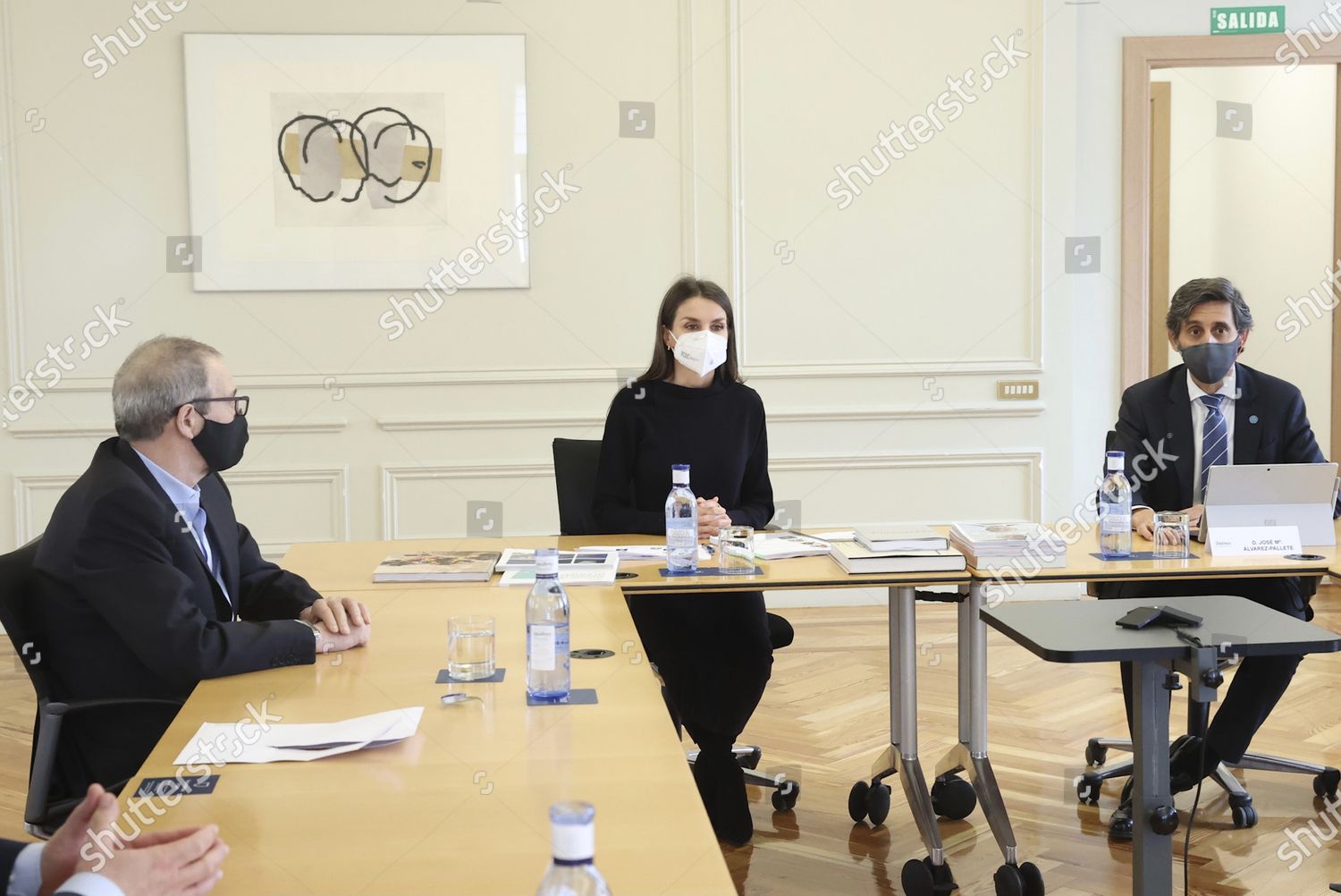 queen-letizia-attends-a-working-meeting-with-the-fundaci-n-telefonica-management-committee-madrid-spain-shutterstock-editorial-11720295h.jpg