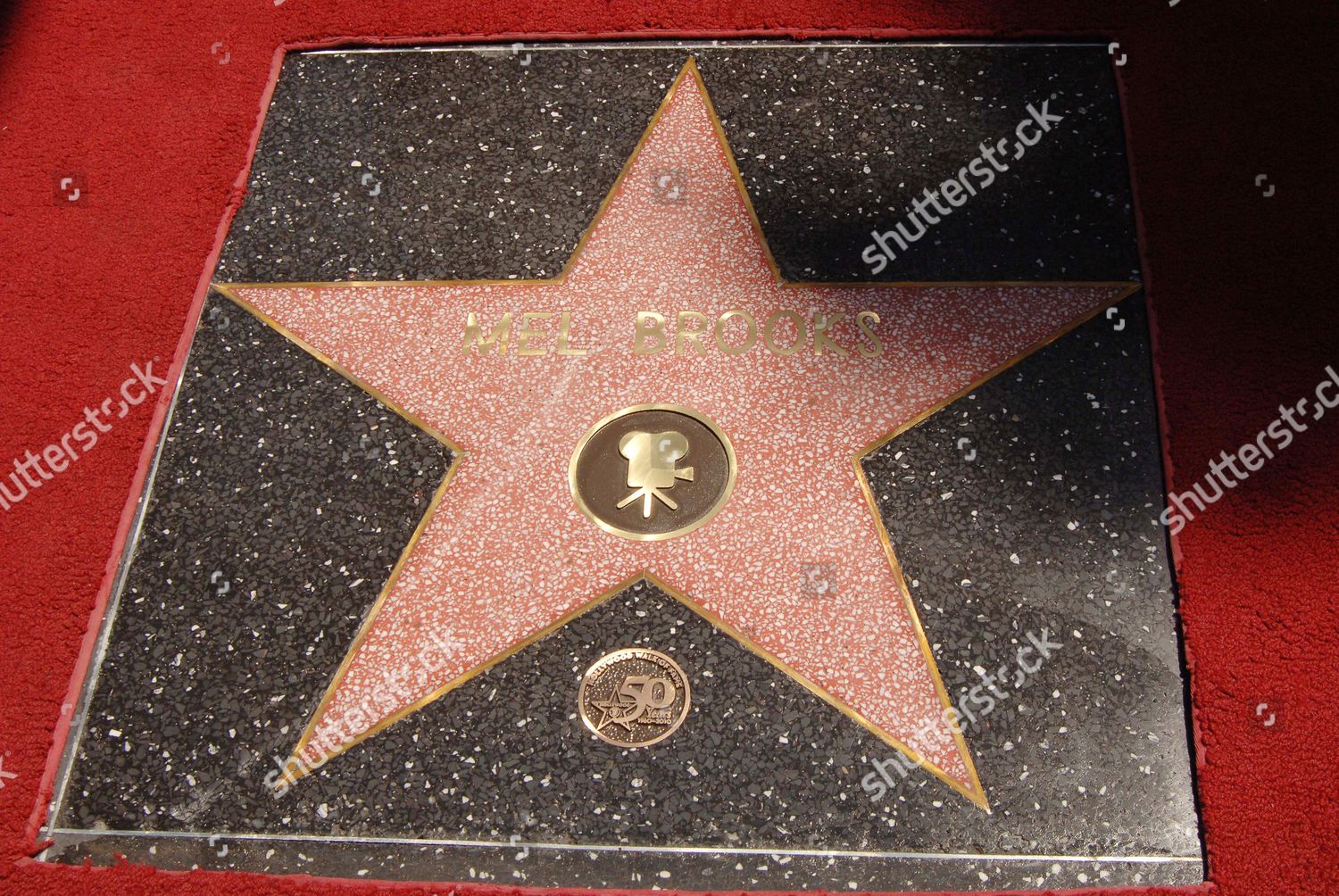 Mel Brooks Star Editorial Stock Photo - Stock Image | Shutterstock