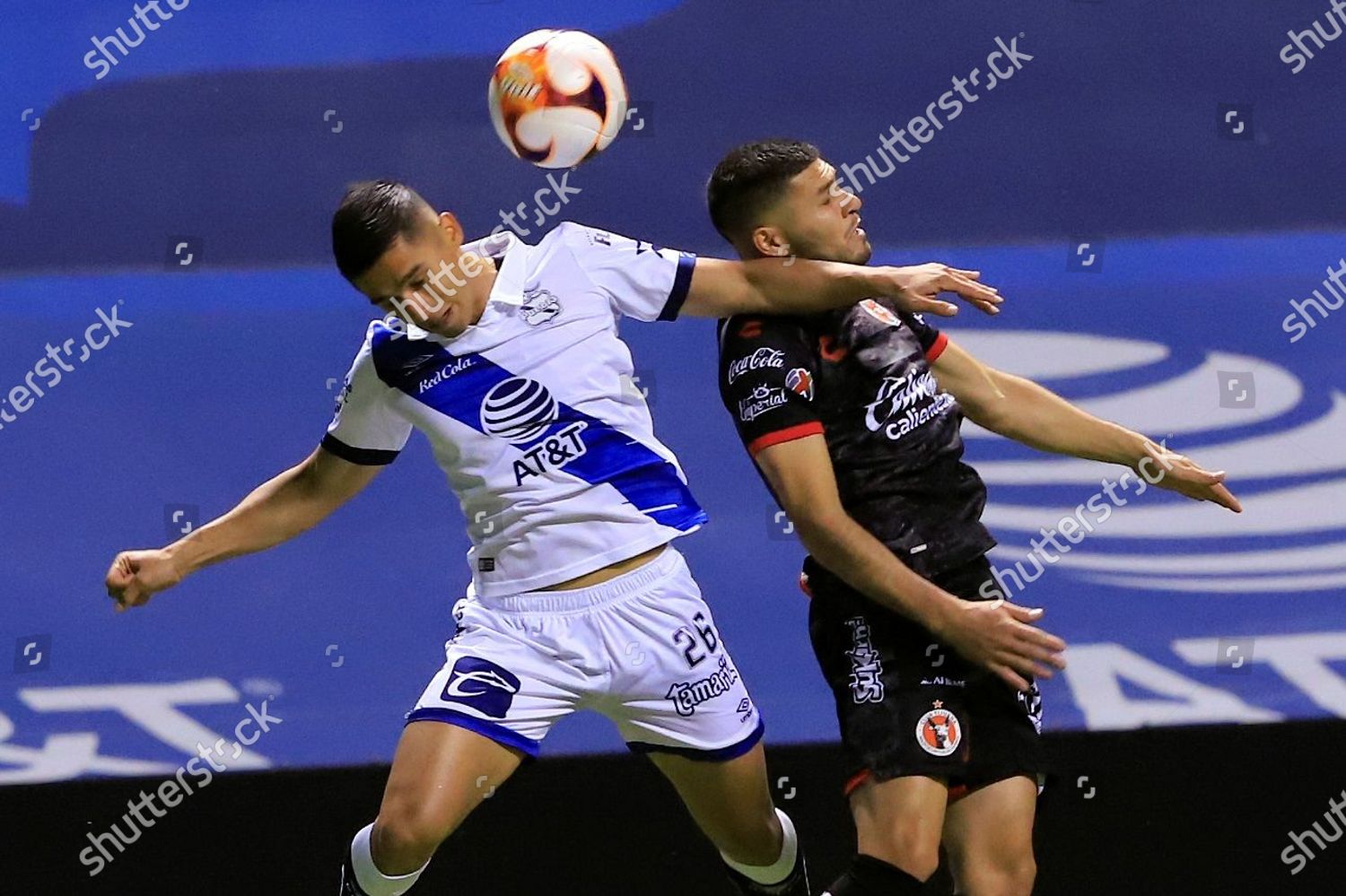 Salvador Reyes L Puebla Action Against David Editorial Stock Photo Stock Image Shutterstock