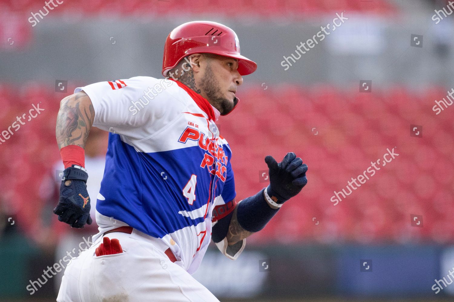 Yadier Molina playing in Caribbean Series