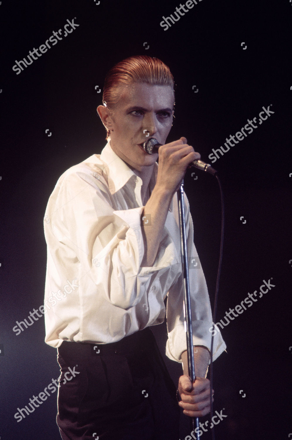 david bowie station to station tour