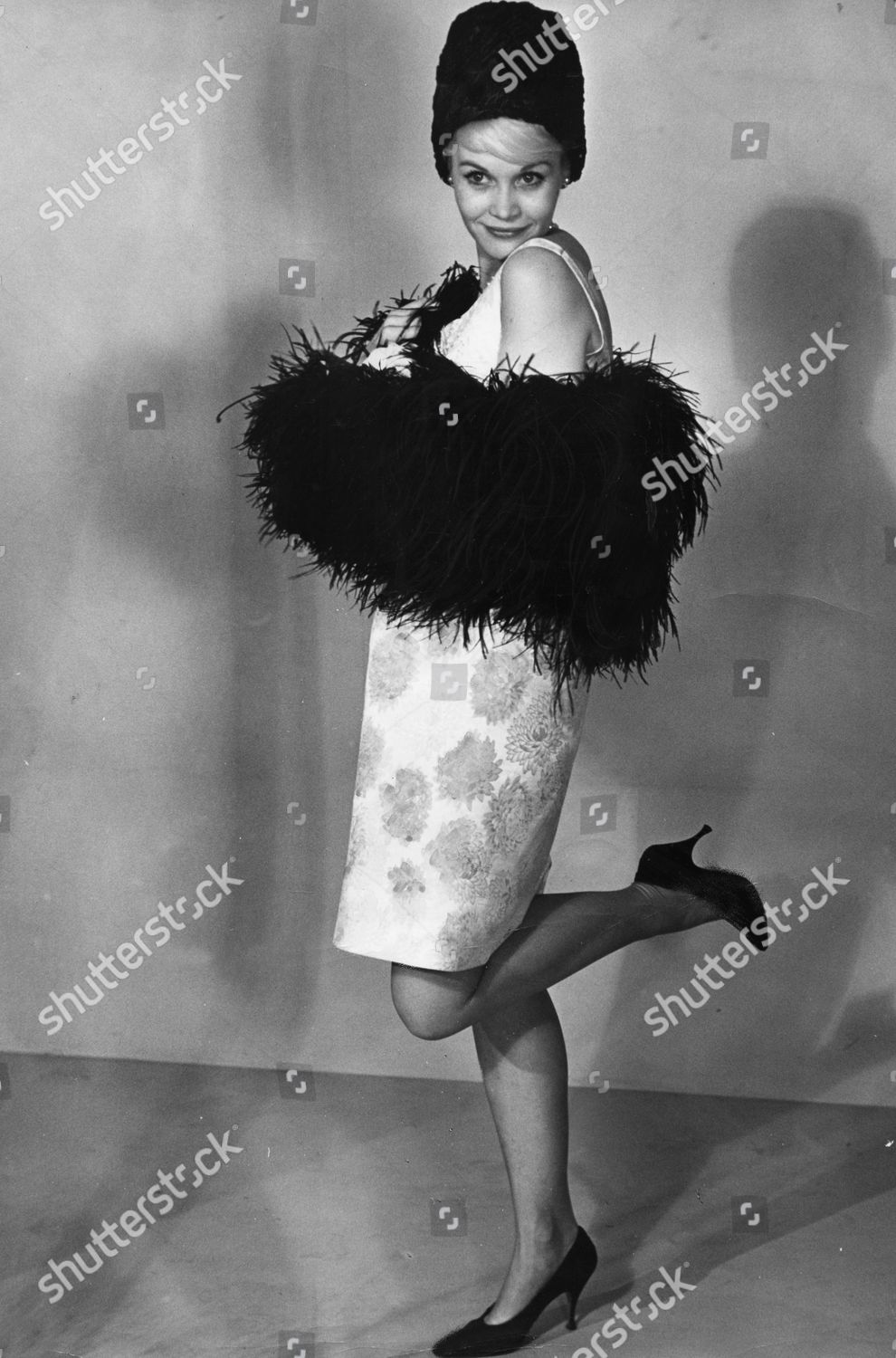 American Actress Dorothy Provine Who Died Editorial Stock Photo Stock