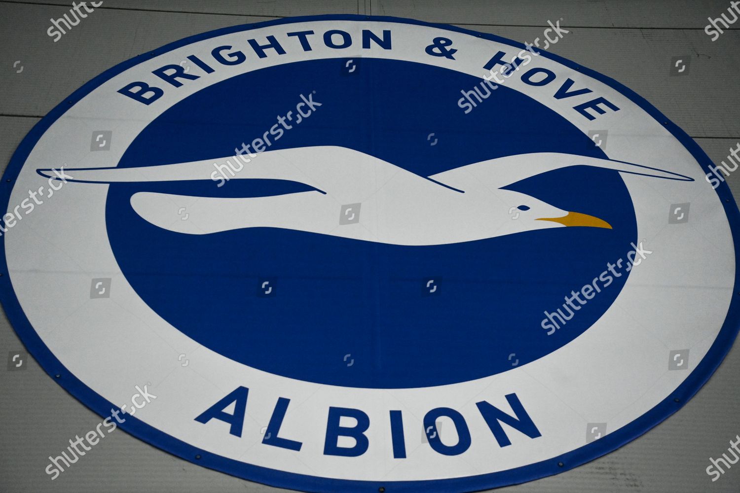 Logo Brighton Hove Albion On Display Editorial Stock Photo - Stock ...