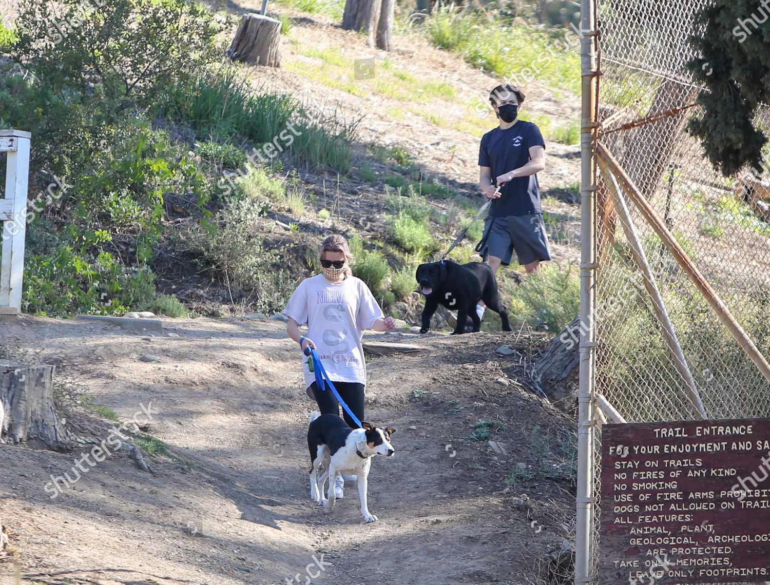 Reese Witherspoon Walks the Dogs Before Leaving L.A.: Photo