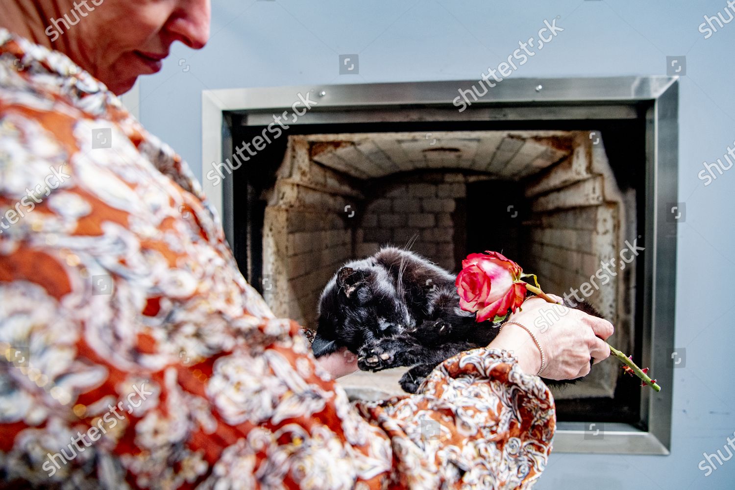 Pet Crematorium Funeral Home Pets When Editorial Stock Photo Stock   Shutterstock 11829558q 