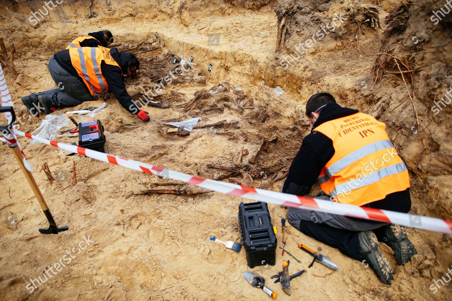 Archeologists Look On Skeletons During Excavation Editorial Stock Photo 