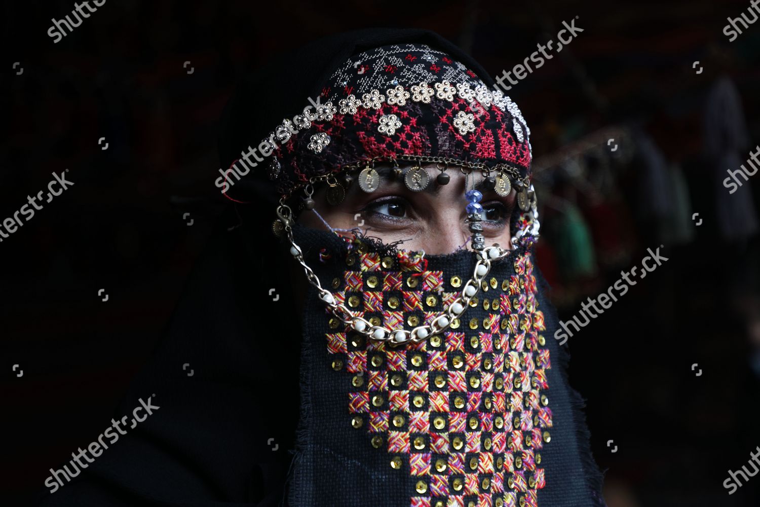 Palestinian Woman Wearing Traditional Clothing Poses Editorial Stock ...