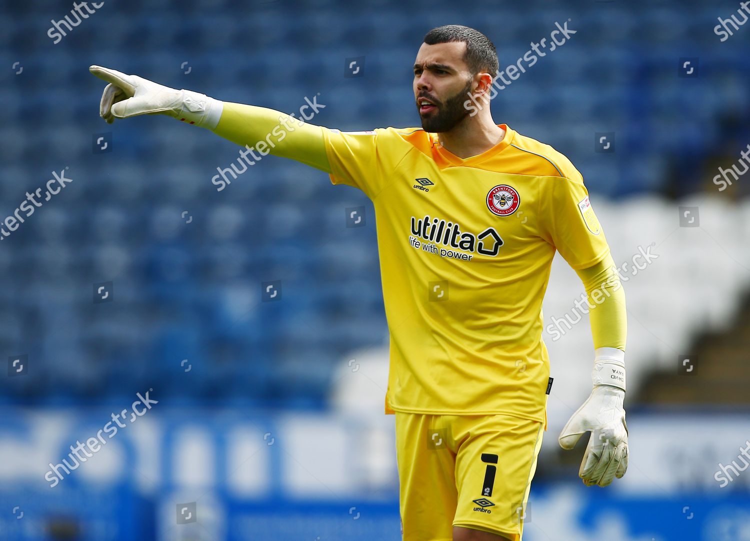 Brentford Goalkeeper David Raya Editorial Stock Photo - Stock Image ...