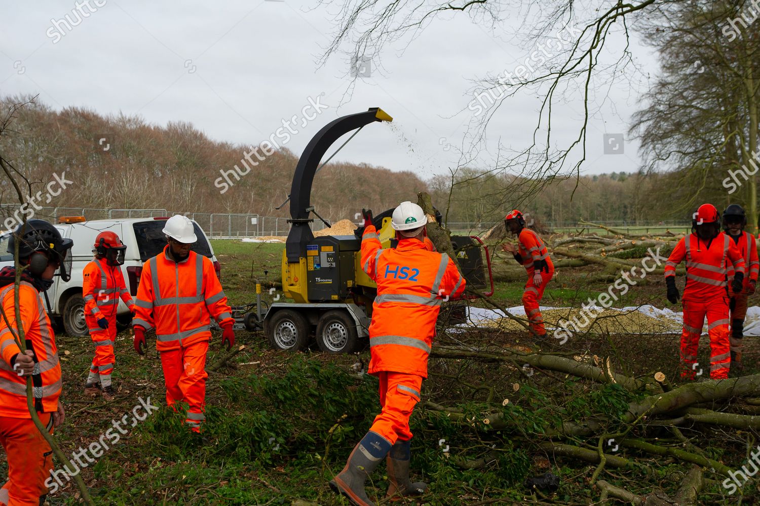 Tree Limbs Were Put Through Wood Editorial Stock Photo Stock Image   Shutterstock 11841138h 