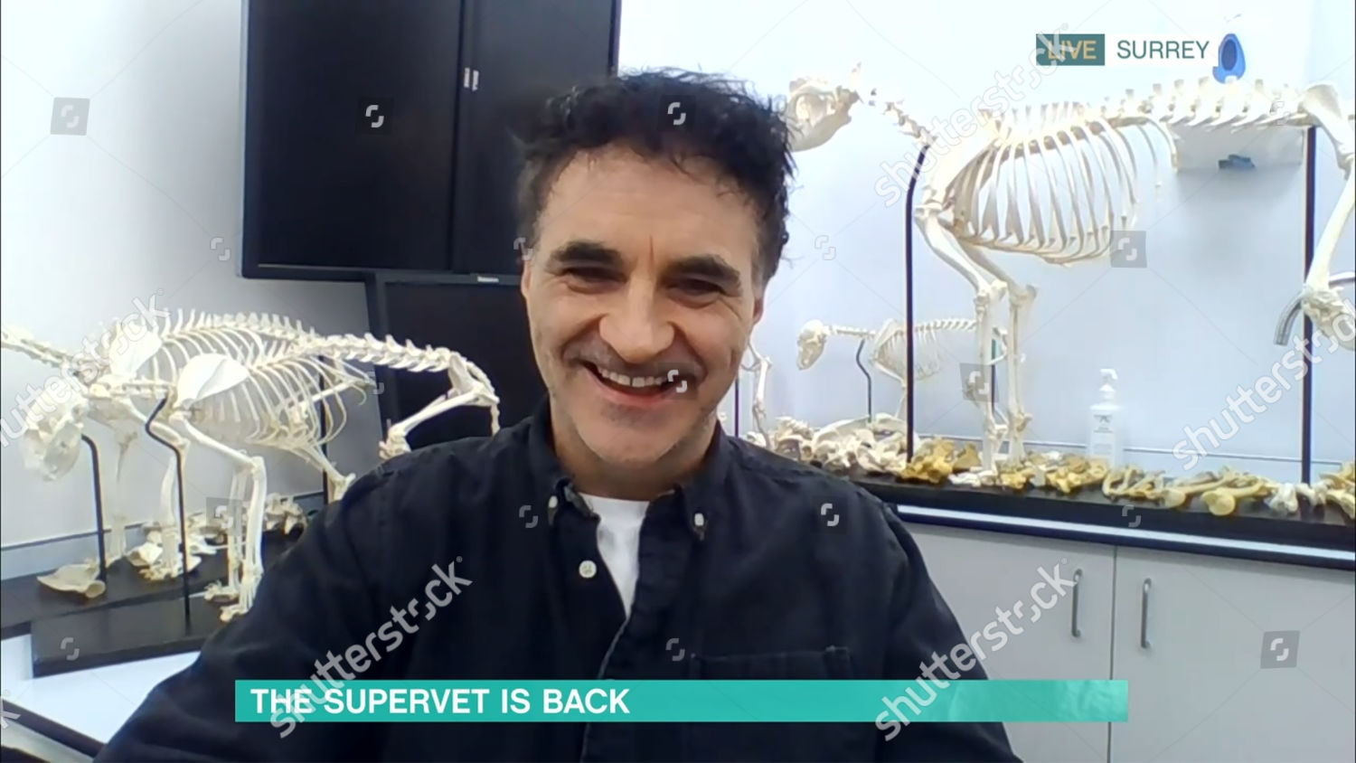 Noel Fitzpatrick Editorial Stock Photo Stock Image Shutterstock