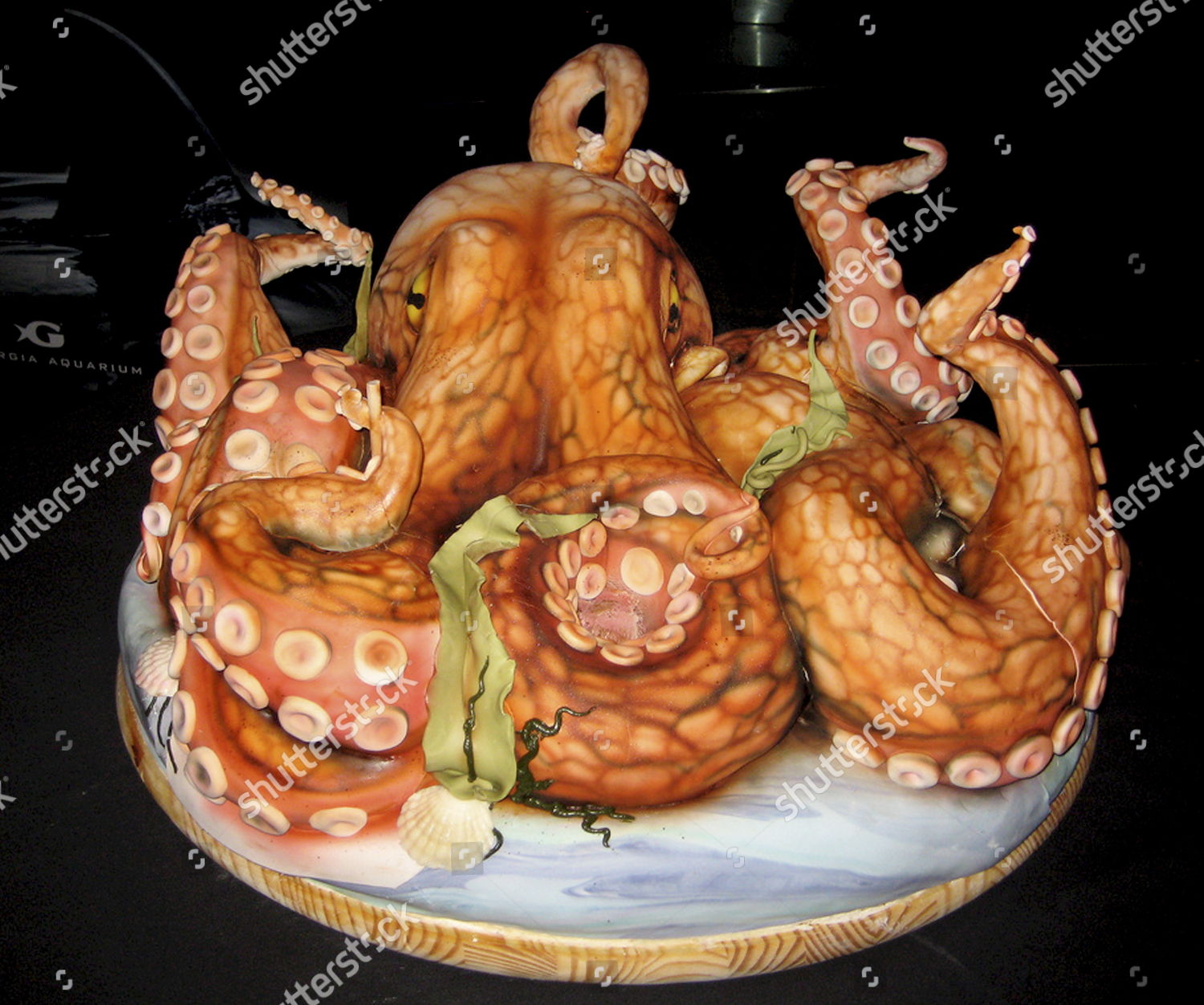 Blue Ring Octopus Cake | Octopus cake, Themed cakes, Ocean cakes