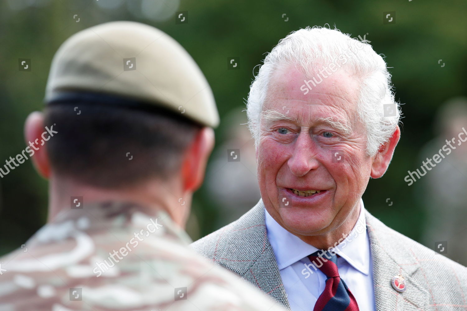 prince-charles-visits-members-of-the-welsh-guards-windsor-uk-shutterstock-editorial-11889775n.jpg