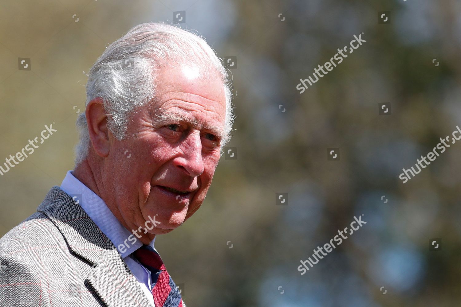 prince-charles-visits-members-of-the-welsh-guards-windsor-uk-shutterstock-editorial-11889775r.jpg